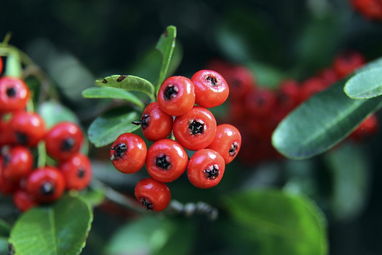 功能设计方 功能设计方