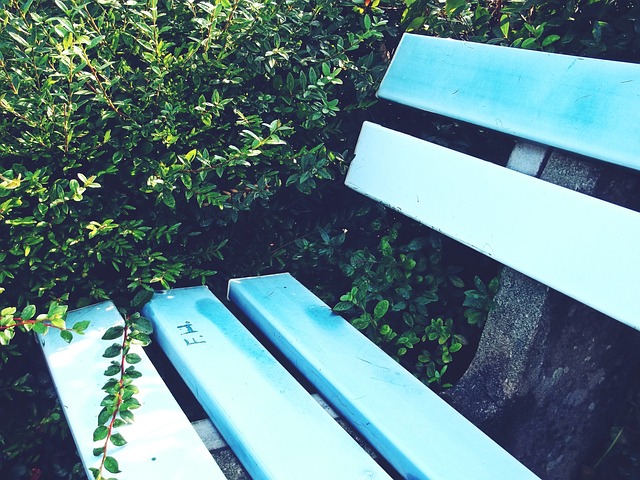 固然遗憾 固然遗憾