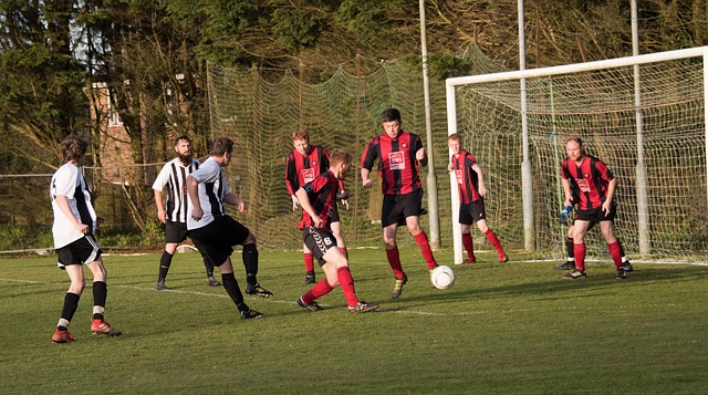 员崭露头角 员崭露头角