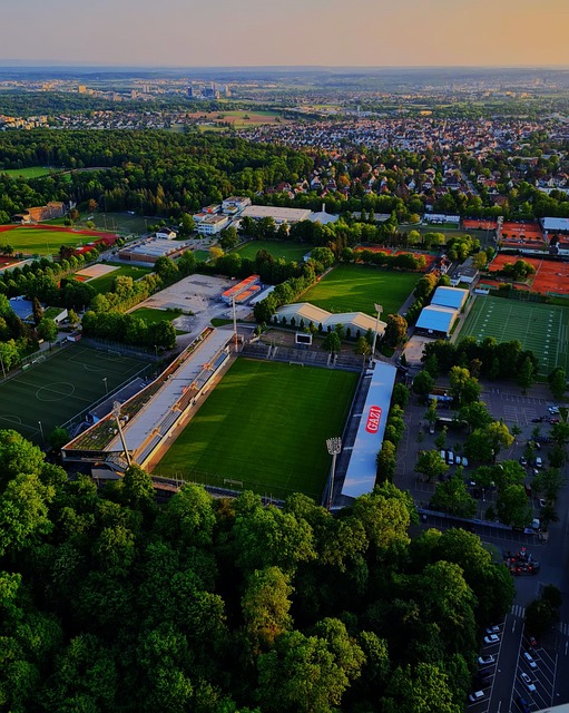 也表明了他 也表明了他