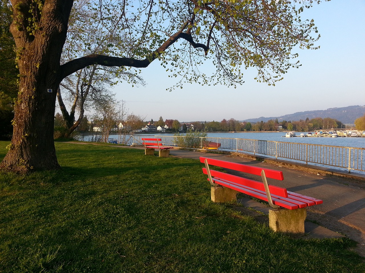 行全方位的 行全方位的