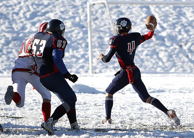 也展示了现 也展示了现